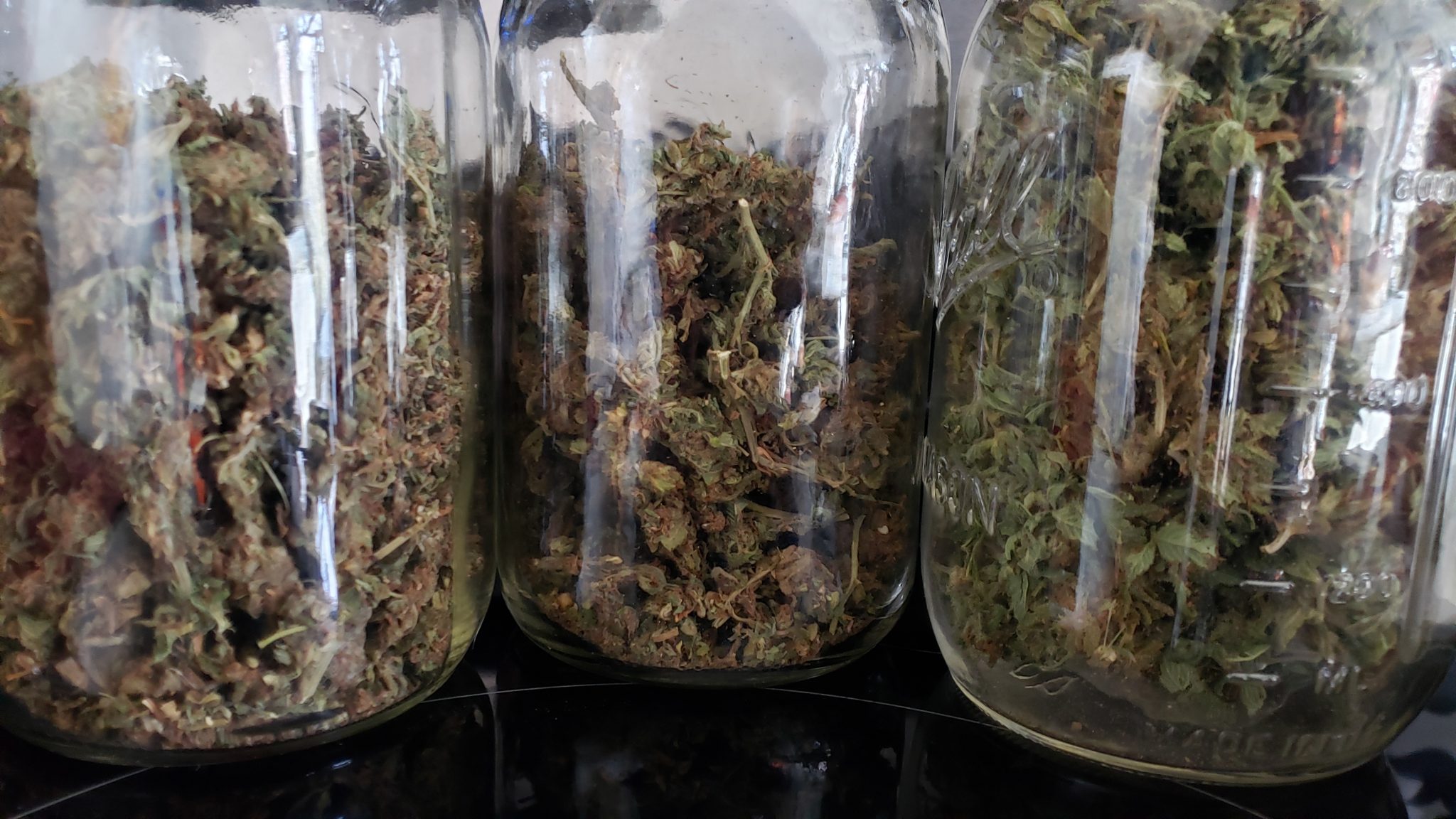 THE TOP SHELF LIST — THE WEED IN REVIEW The Top Shelf List